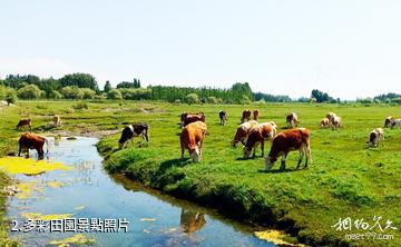 拜城亞曼蘇濕地公園-多彩田園照片