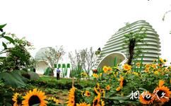 第八届中国花博会[常州]旅游攻略之绿商园
