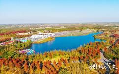 淮安白马湖生态旅游攻略之红枫谷