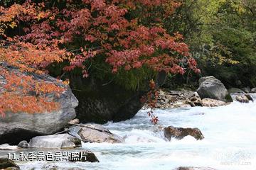 雅安東拉山大峽谷風景區-秋季景色照片