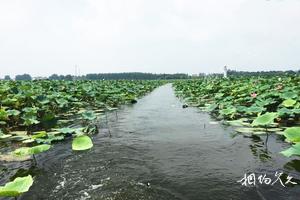 湖南岳阳君山广兴洲旅游景点大全