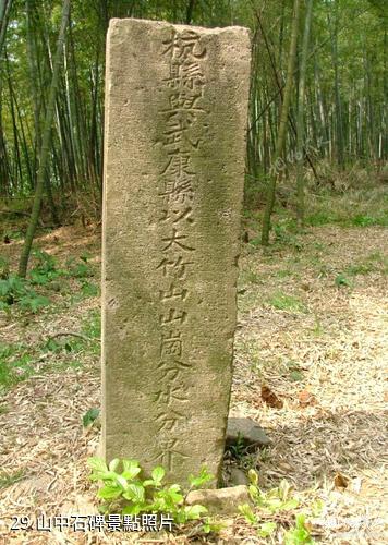 杭州東明山森林公園-山中石碑照片