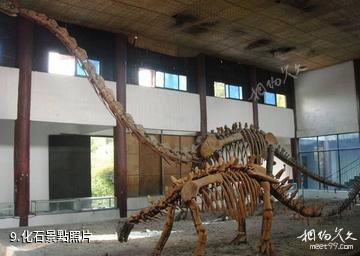 瀘州九獅景區-化石照片
