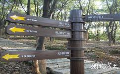 温州景山公园旅游攻略之公园石阶
