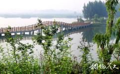 壽光濱河城市濕地公園旅遊攻略之秋色雲水區