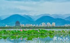 雲南保山青華海國家濕地公園旅遊攻略之東湖