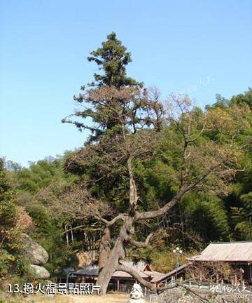 浠水三角山國家森林公園-撥火棍照片