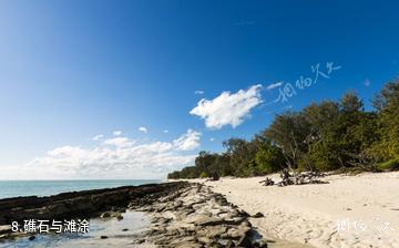 苍鹭岛海底风光-礁石与滩涂照片