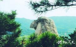 魯山國家森林公園旅遊攻略之蒼鷹石