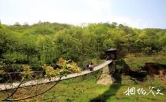 驻马店金顶山旅游攻略之吊桥