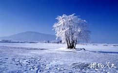 黑河山口湖旅游攻略之冬季景色
