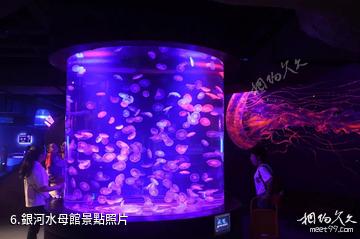 重慶漢海海洋公園-銀河水母館照片