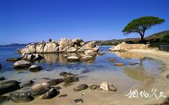 法國科西嘉島旅遊攻略之Palombaggia海灘
