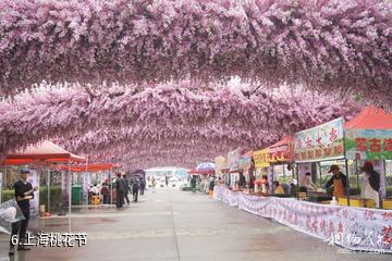 上海南汇桃花村-上海桃花节照片