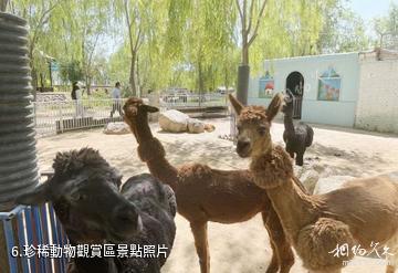 張家口假日綠島景區-珍稀動物觀賞區照片