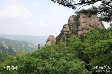丹东凤城鸡冠山景区-石猿峰照片
