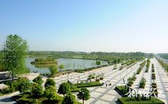 泗阳奥林匹克生态公园旅游攻略之亲水平台滨水步道