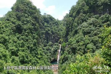 桂平龍潭國家森林公園照片