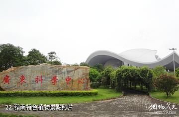 廣州廣東科學中心-嶺南特色植物照片