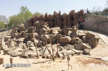 西寧青藏高原野生動物園-靈長館照片