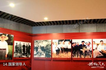 安徽中国稻米博物馆-国家领导人照片
