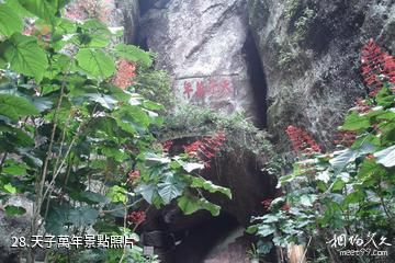 江西漢仙岩風景區-天子萬年照片