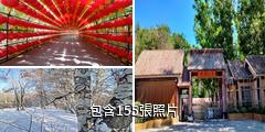 阿勒泰樺林公園驢友相冊