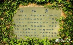 上海古猗園旅遊攻略之小松崗