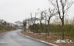 江陰長江之星農業濕地生態園旅遊攻略之長江之星農業濕地生態園