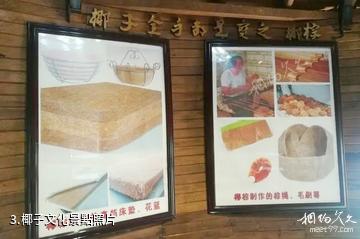 瓊海春暉椰子觀光園-椰子文化照片