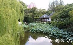 上海曲水园旅游攻略之荷花池