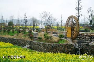 郴州安仁稻田公園-生態照片