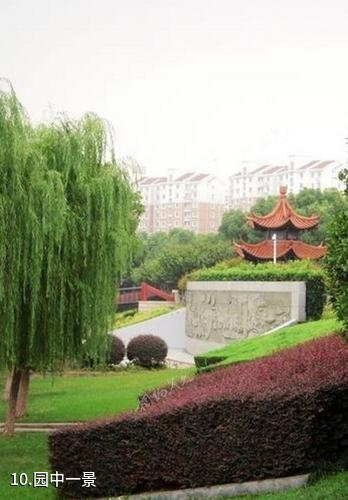 张家港公园-园中一景照片