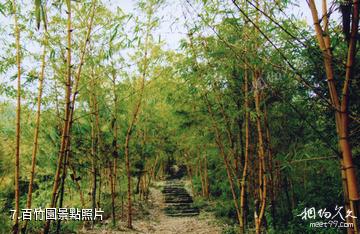 廈門天竺山風景區-百竹園照片