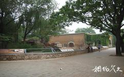 北京動物園旅遊攻略之貘館