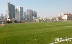 上海八万人体育场旅游攻略之训练场