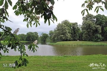 拉脱维亚隆黛尔宫-池塘照片