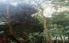 福州永泰仙洞旅游攻略之古猿面壁