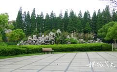 上海淞南公园旅游攻略之淞南公园
