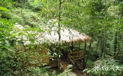 五指山热带雨林旅游攻略之茅草屋