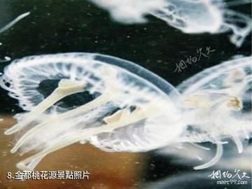 遂昌金礦國家礦山公園-金都桃花源照片
