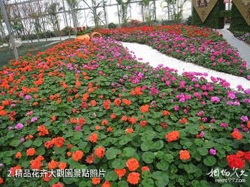 合肥豐樂生態園-精品花卉大觀園照片