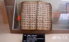 楚雄州博物馆旅游攻略之语言文字