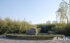 洛陽市隋唐城遺址植物園旅遊攻略之竹園