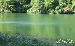 日本白神山地旅游攻略之湖面