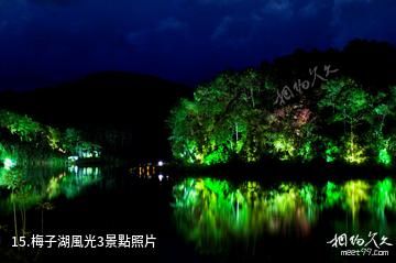 思茅梅子湖公園-梅子湖風光3照片