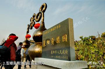 萊陽梨鄉風情旅遊區-梨鄉風情旅遊區照片