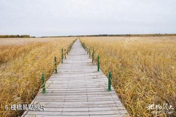 鎮賚莫莫格國家級自然保護區-棧橋照片