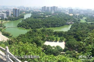 柳州雀兒山公園照片