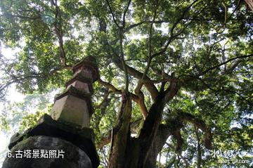 雅安滎經雲峰山景區-古塔照片